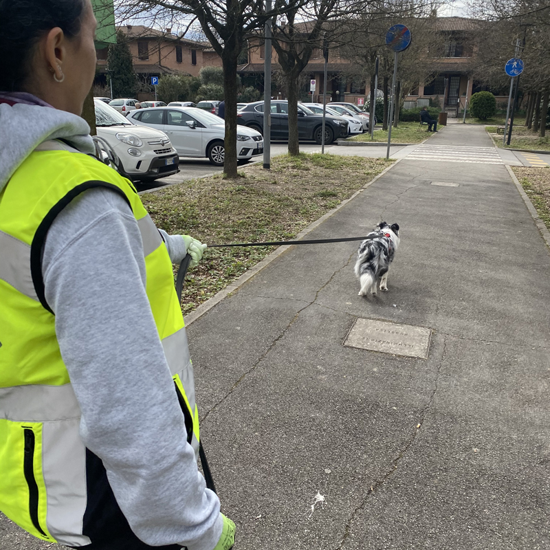 Centro Cinofilo Felicia - Addestramento Cani Bologna - Mantrailing