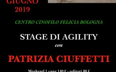 Stage di Agility con Patrizia Ciuffetti