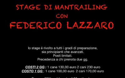 Stage di Mantrailing con Federico Lazzaro