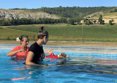 centro-cinofilo-felicia-addestramento-cani-bologna-attivita-sportive-gallery-swim-dog-sports-5