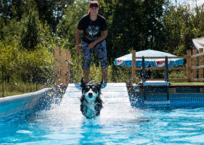 centro-cinofilo-felicia-addestramento-cani-bologna-attivita-sportive-gallery-swim-dog-sports-6