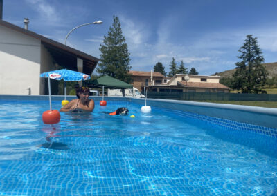 centro-cinofilo-felicia-addestramento-cani-bologna-attivita-sportive-gallery-swim-dog-sports-8