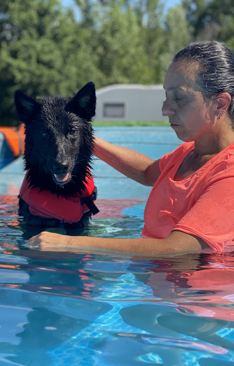 Swim Dog Sport Swim Dog Sport