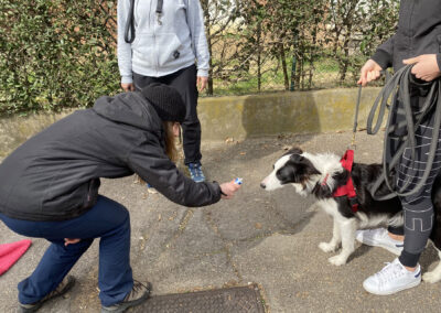 centro-cinofilo-felicia-addestramento-cani-bologna-attivita-sportive-gallery-mantrailing-1