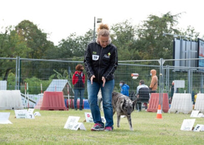 centro-cinofilo-felicia-addestramento-cani-bologna-attivita-sportive-gallery-rally-obedience-2