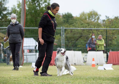 centro-cinofilo-felicia-addestramento-cani-bologna-attivita-sportive-gallery-rally-obedience-3