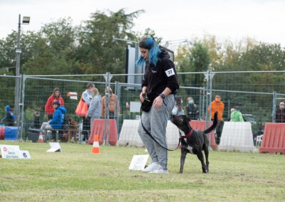 centro-cinofilo-felicia-addestramento-cani-bologna-attivita-sportive-gallery-rally-obedience