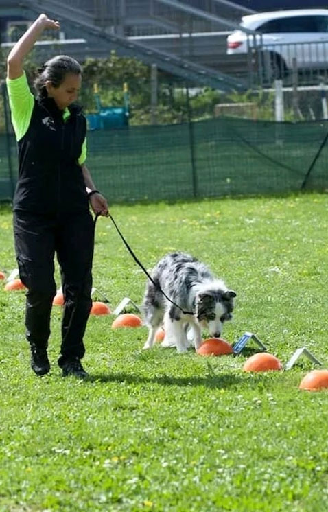 centro-cinofilo-felicia-addestramento-cani-bologna-attivita-sportive-nosework-3 centro-cinofilo-felicia-addestramento-cani-bologna-attivita-sportive-nosework-3